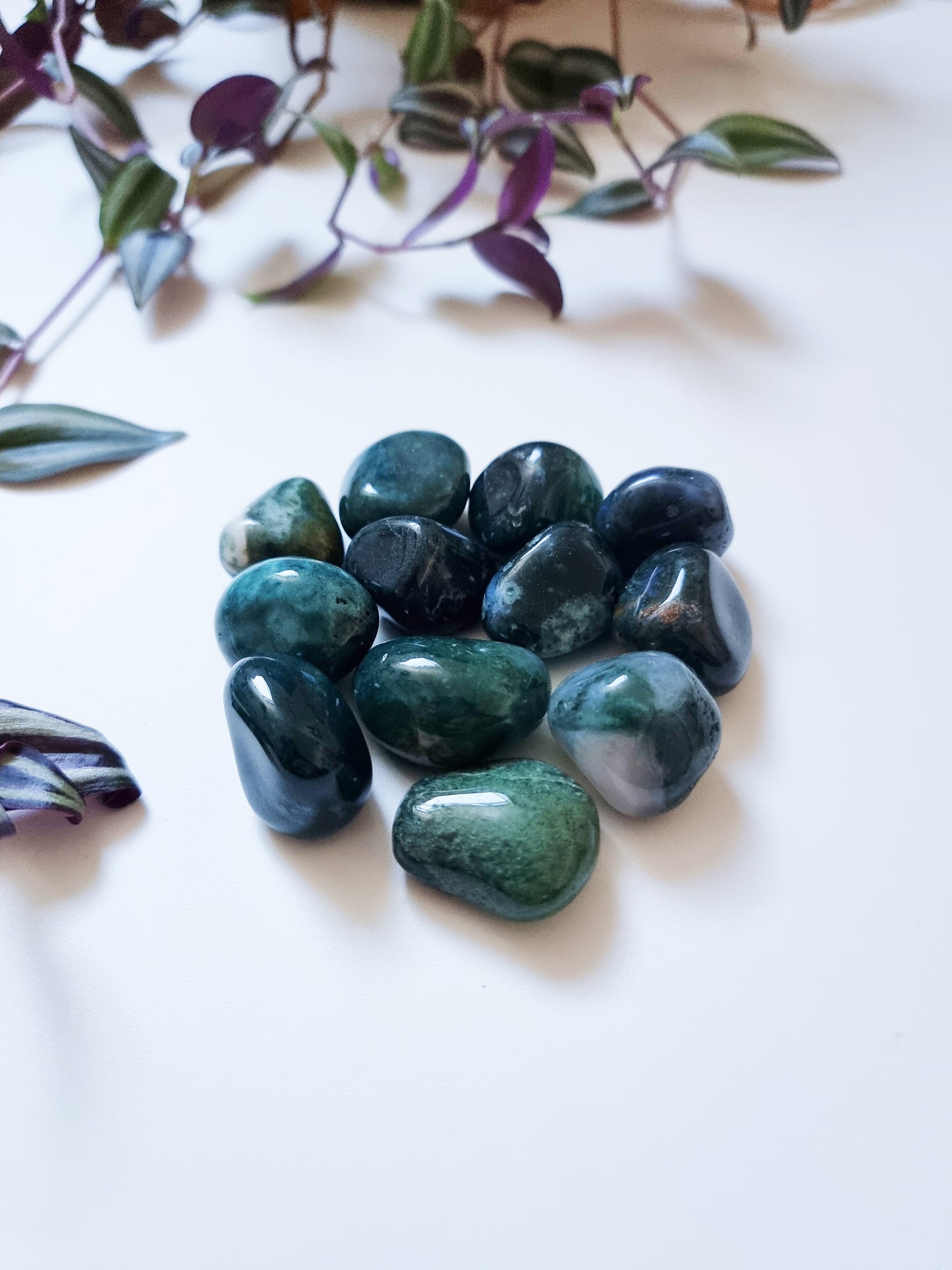 Agata Muschiata - Pace, Natura, Nuovo inizio