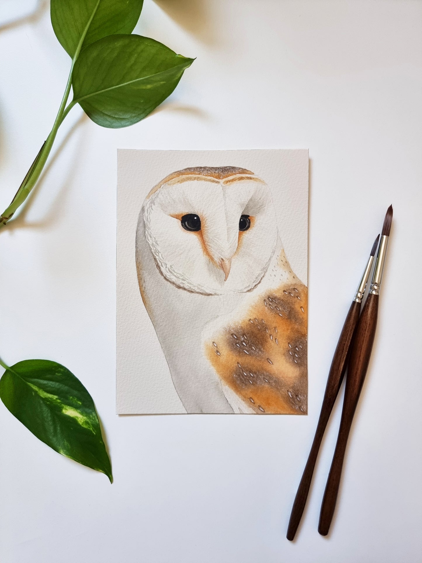 Barn Owl Original Watercolor Painting 18 x 13