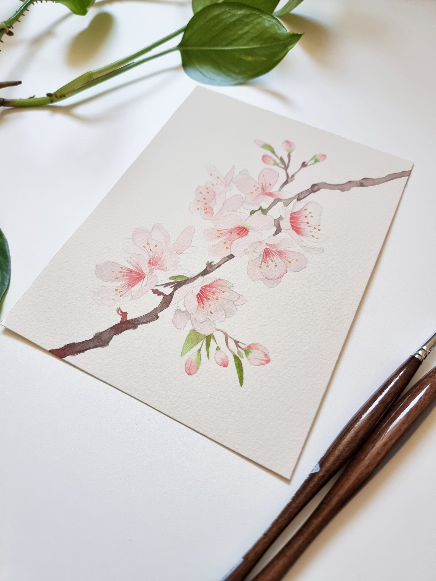 Fiori di ciliegio, dipinto originale ad acquerello 20 x 15