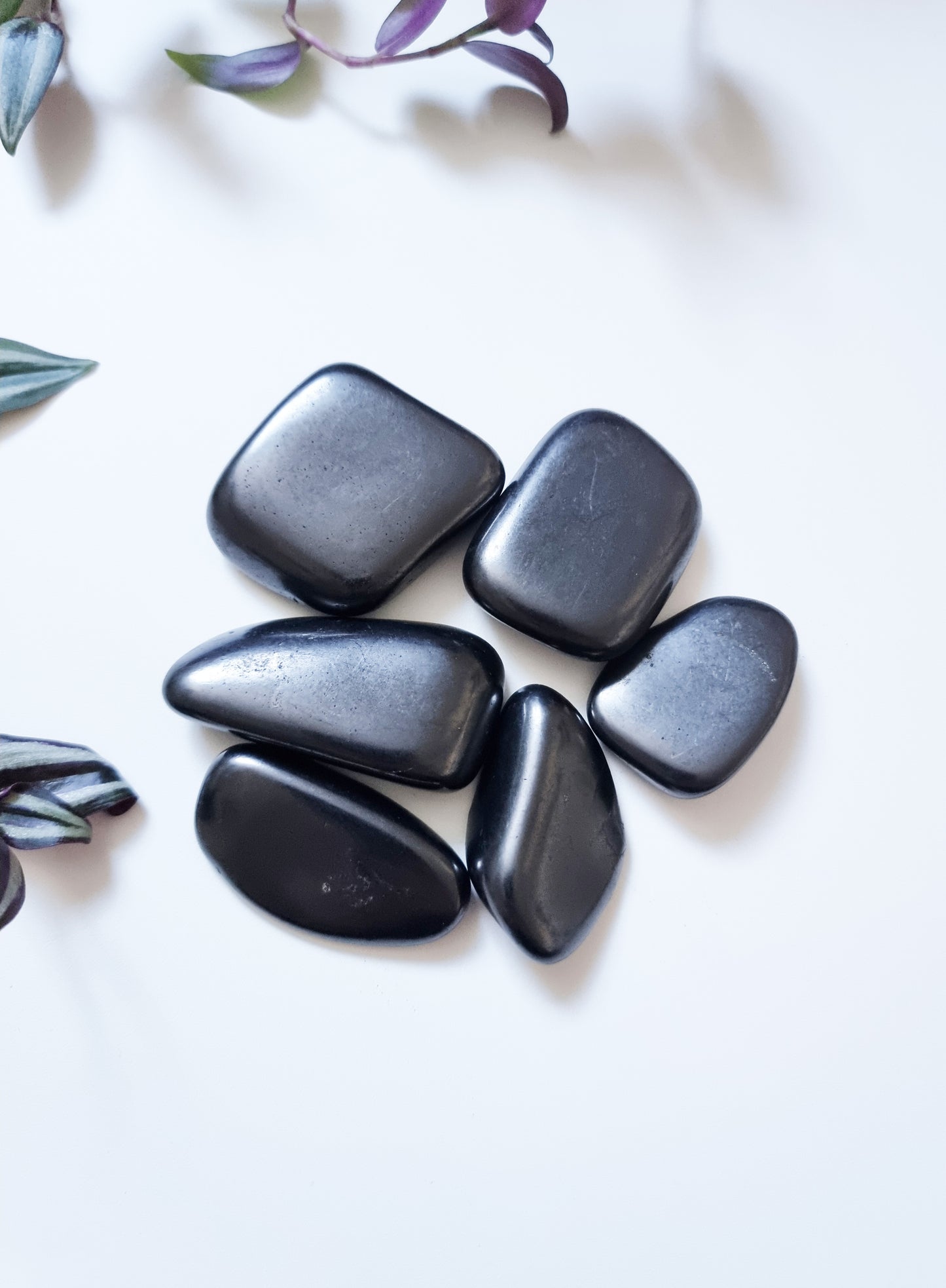 Shungite (Palmstone) - Protection, Anti Radiation