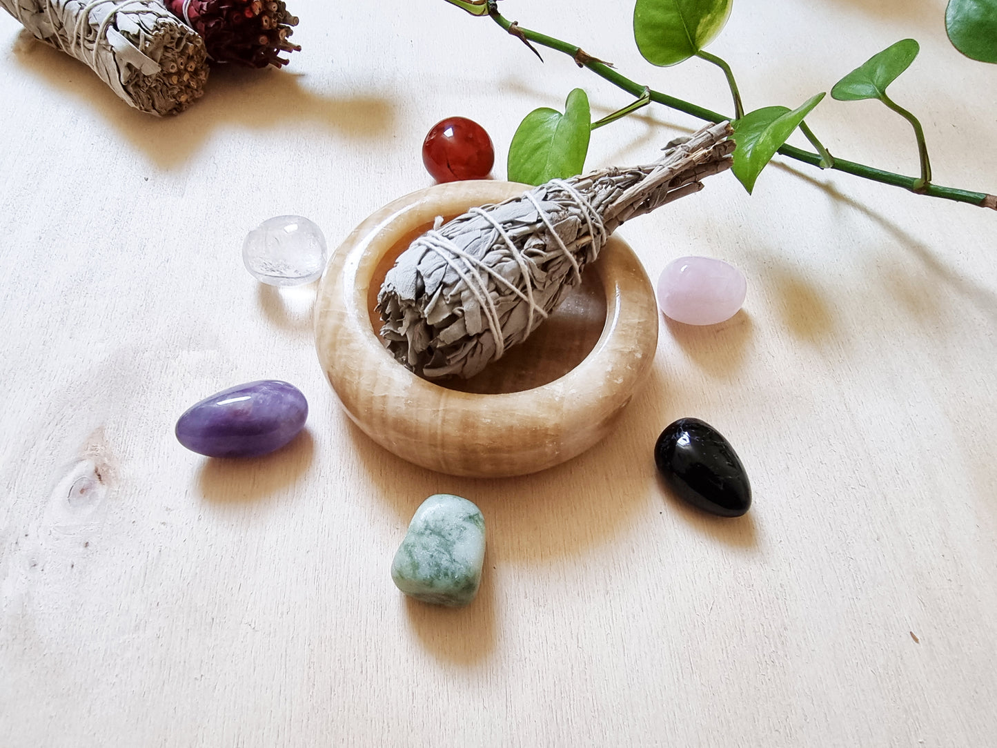 Salvia Bianca - Protezione, Purificazione, Fumigazione