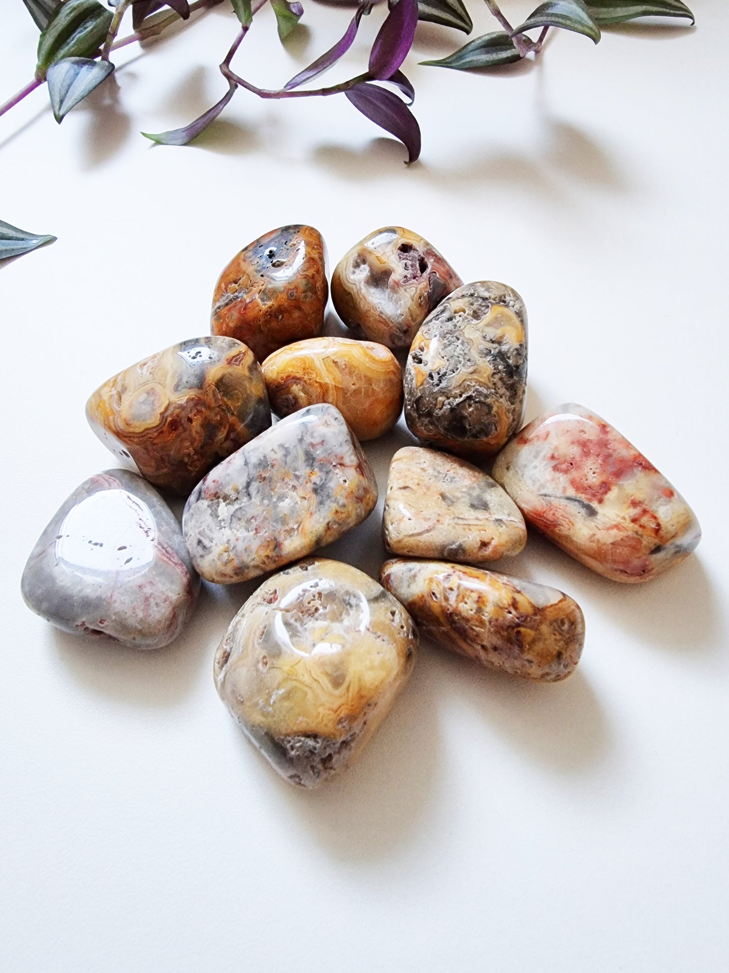 Agata Crazy Lace - Happiness, Security, Inner Stability