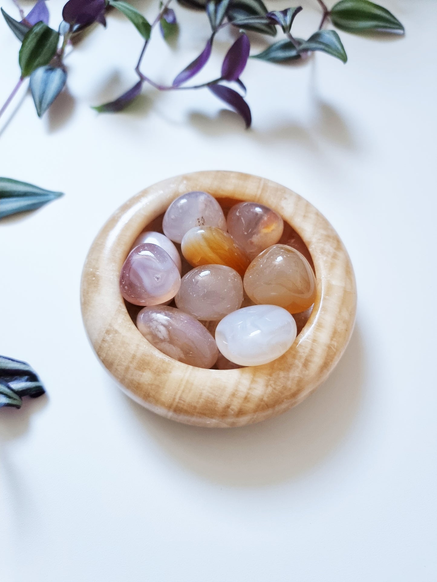 Agata Sakura (Cherry Blossoms) - Hidden Talents, Personal Growth, Rebirth