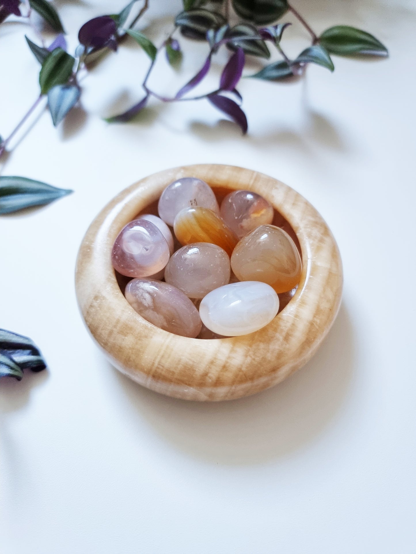 Agata Sakura (Cherry Blossoms) - Hidden Talents, Personal Growth, Rebirth