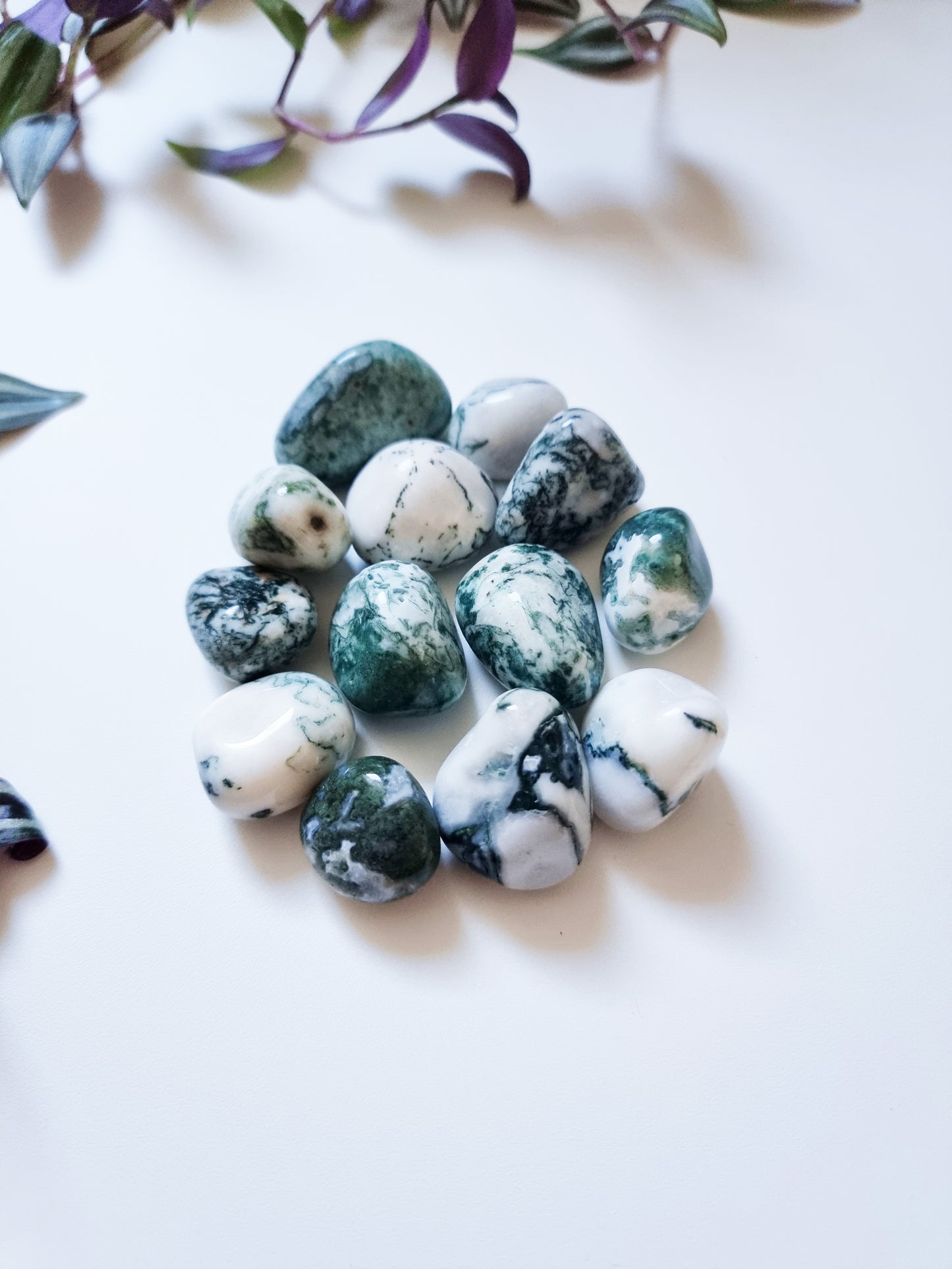 Agata Albero - Nature, Strength, Peace