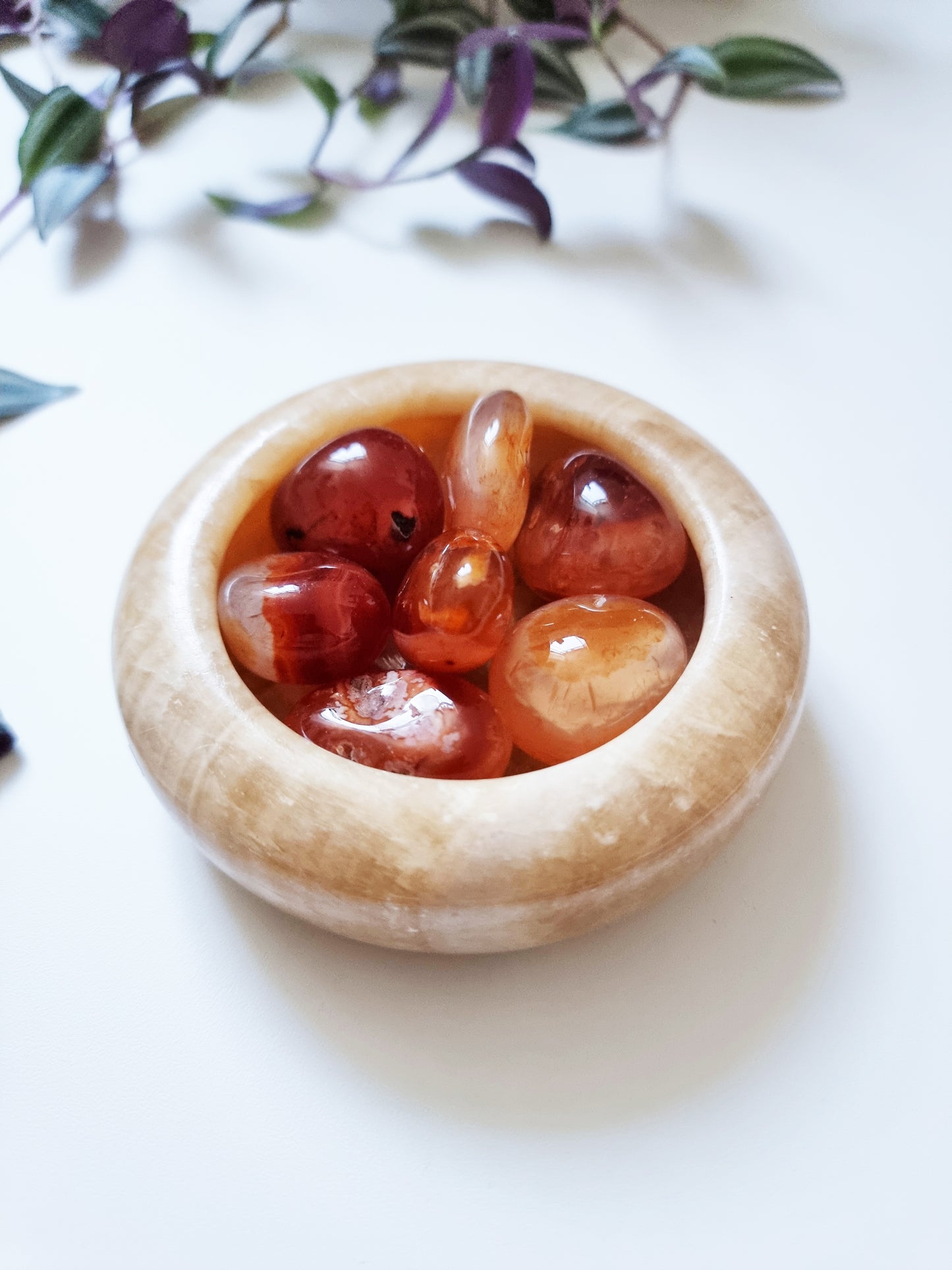 Agata Corniola - Creatività, Vitalità, Passione