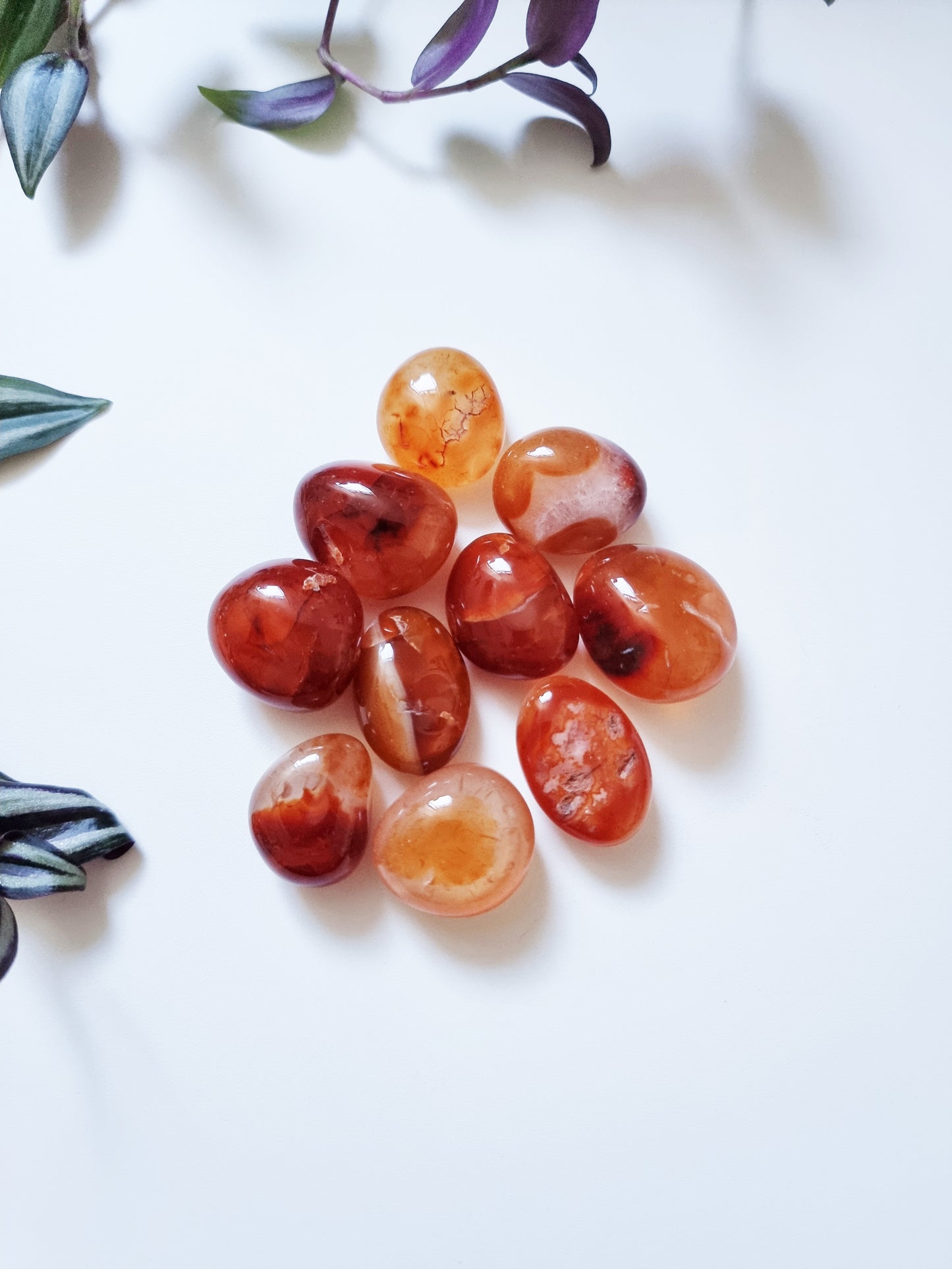 Agata Corniola - Creatività, Vitalità, Passione