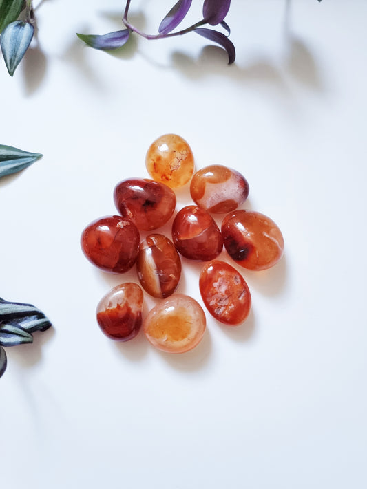 Agata Corniola - Creatività, Vitalità, Passione