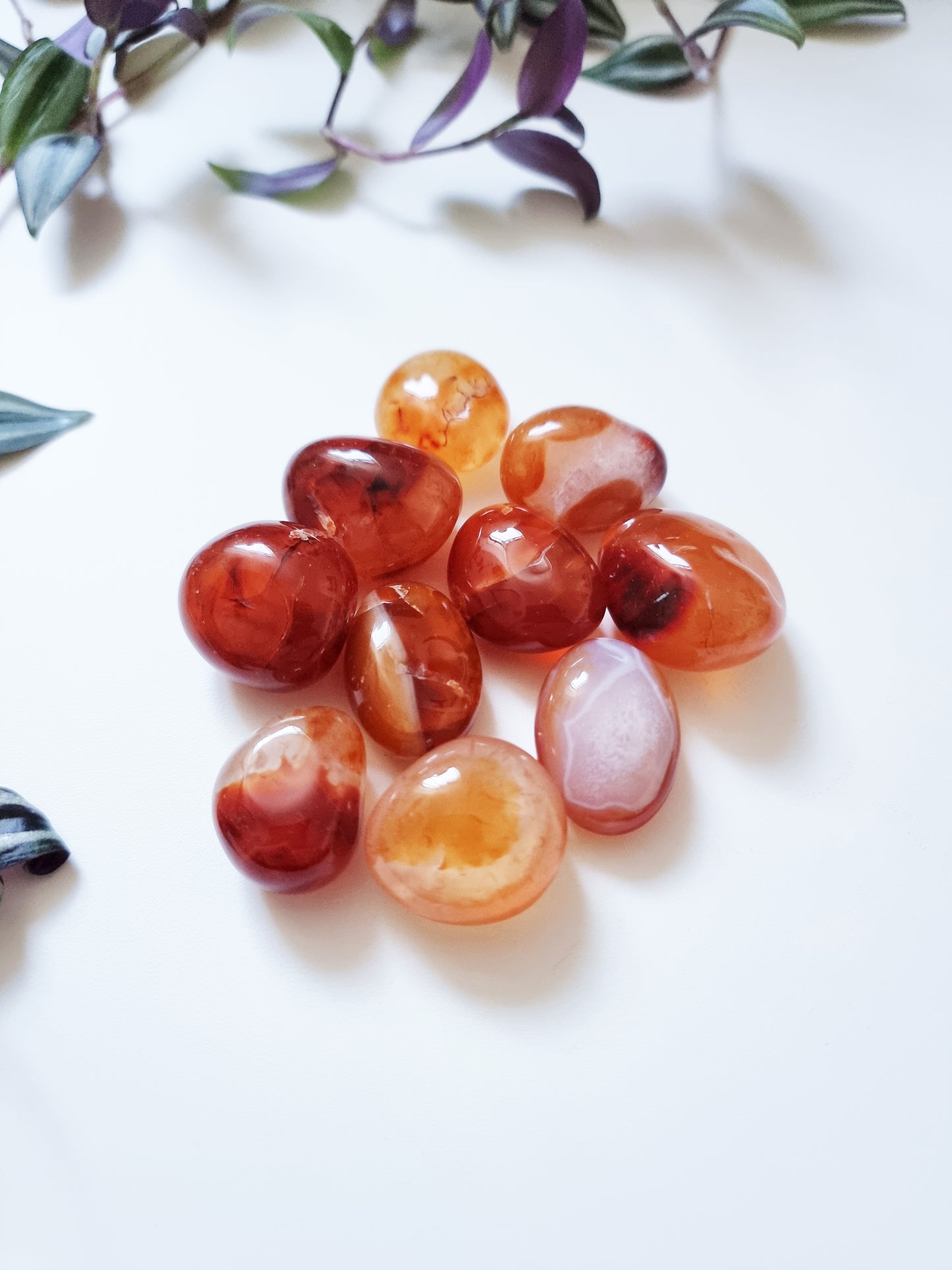 Agata Corniola - Creatività, Vitalità, Passione