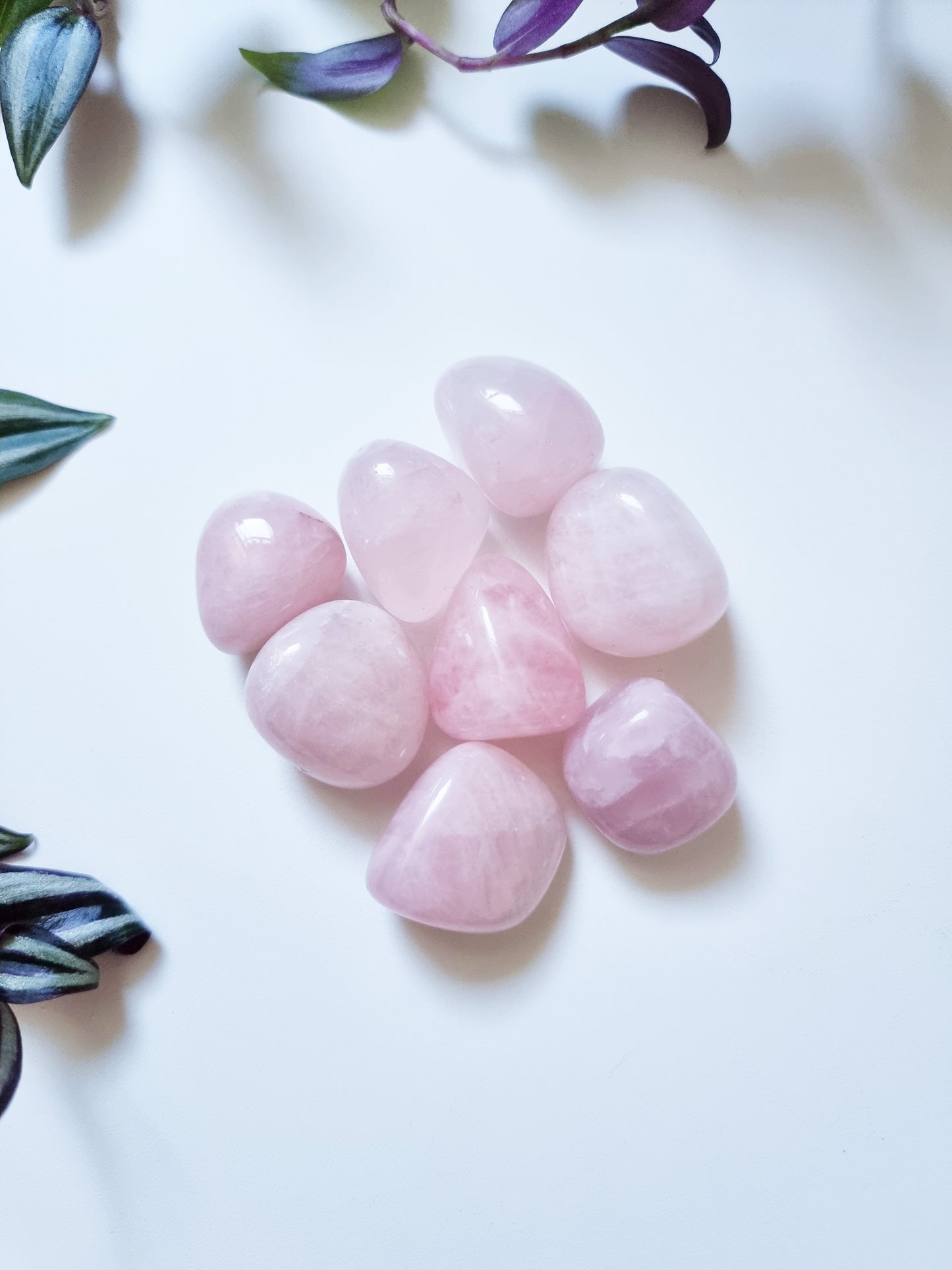 Quarzo Rosa - Amore incondizionato, Blocchi emotivi, Tranquillità