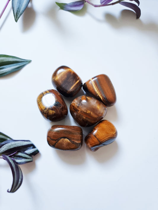 Tiger's Eye - Security, Self-Control, Abundance
