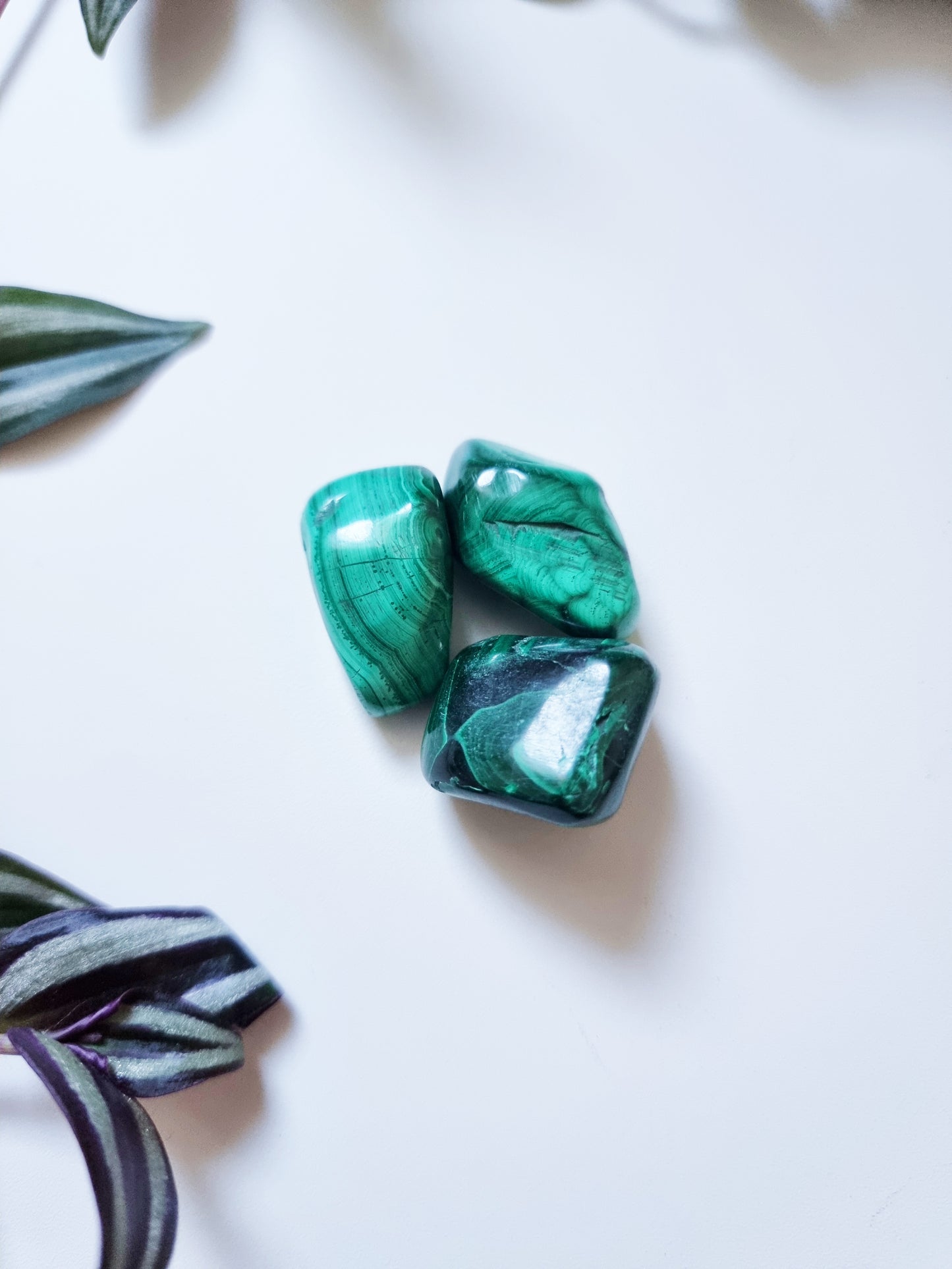 Malachite - Transformation, Protection, Emotional Healing