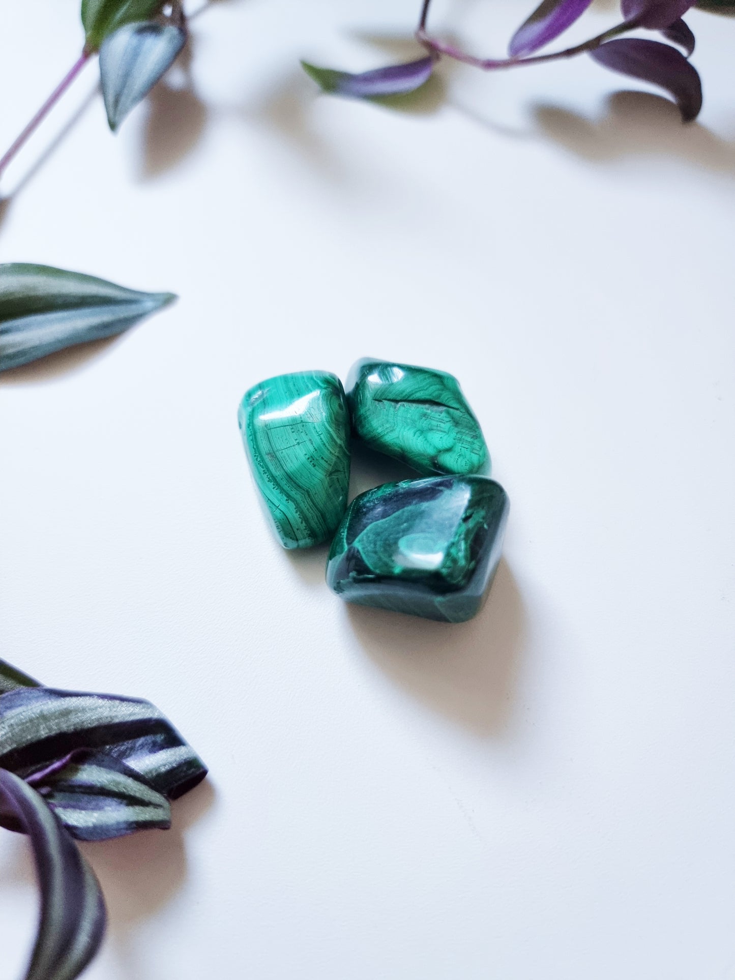 Malachite - Transformation, Protection, Emotional Healing
