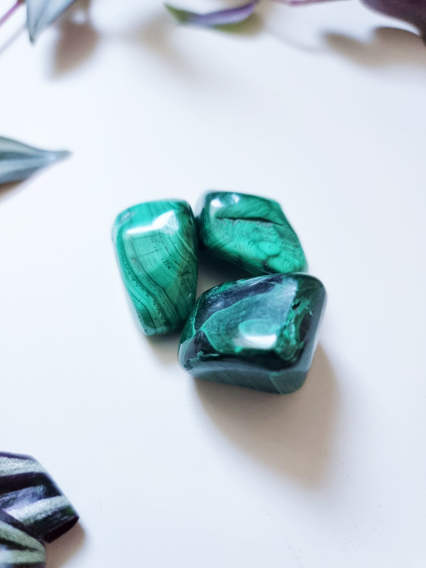 Malachite - Transformation, Protection, Emotional Healing