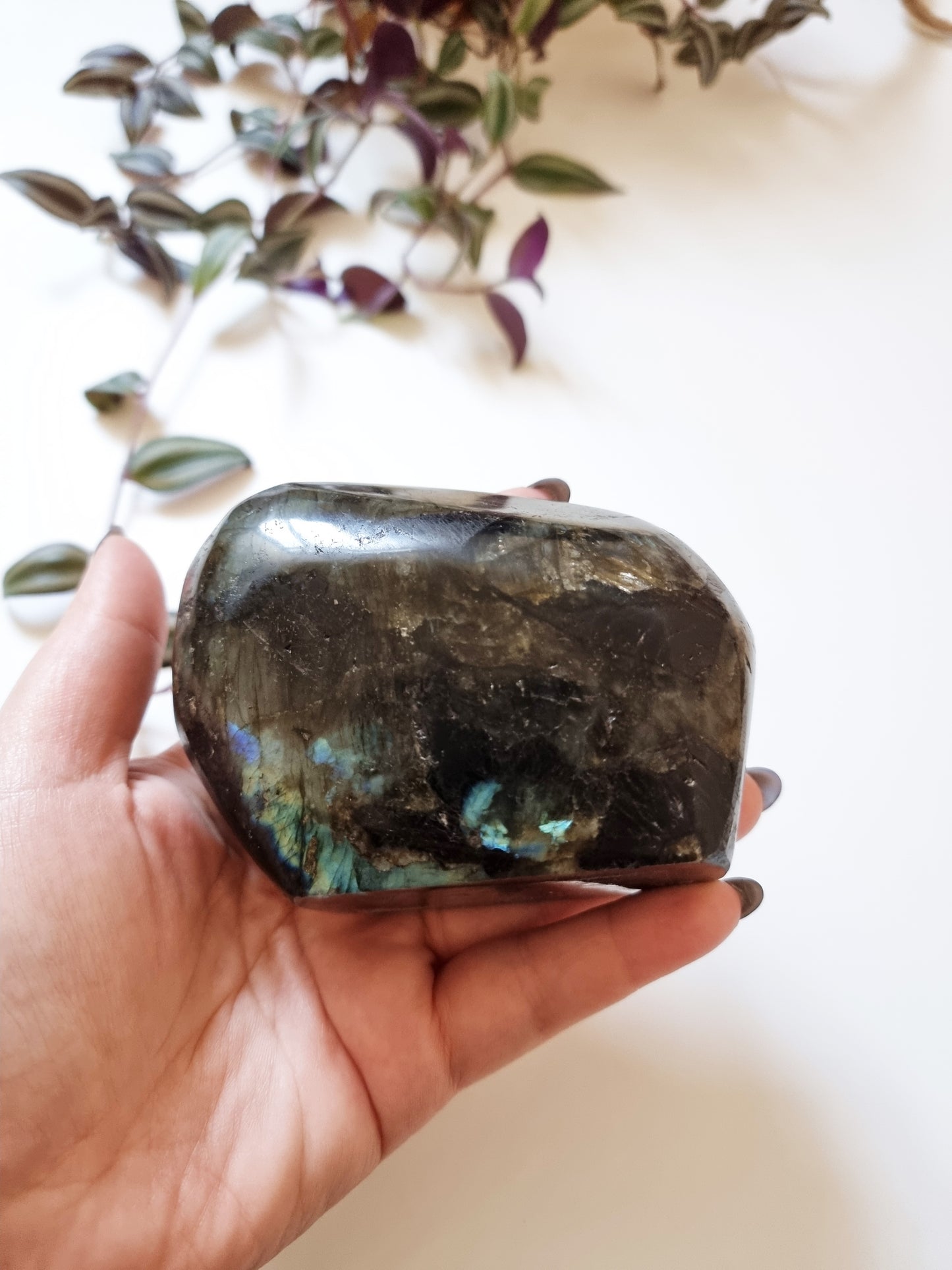 Labradorite Freeform AAA Quality 630g - Psychic Abilities, Intuition, Transformation