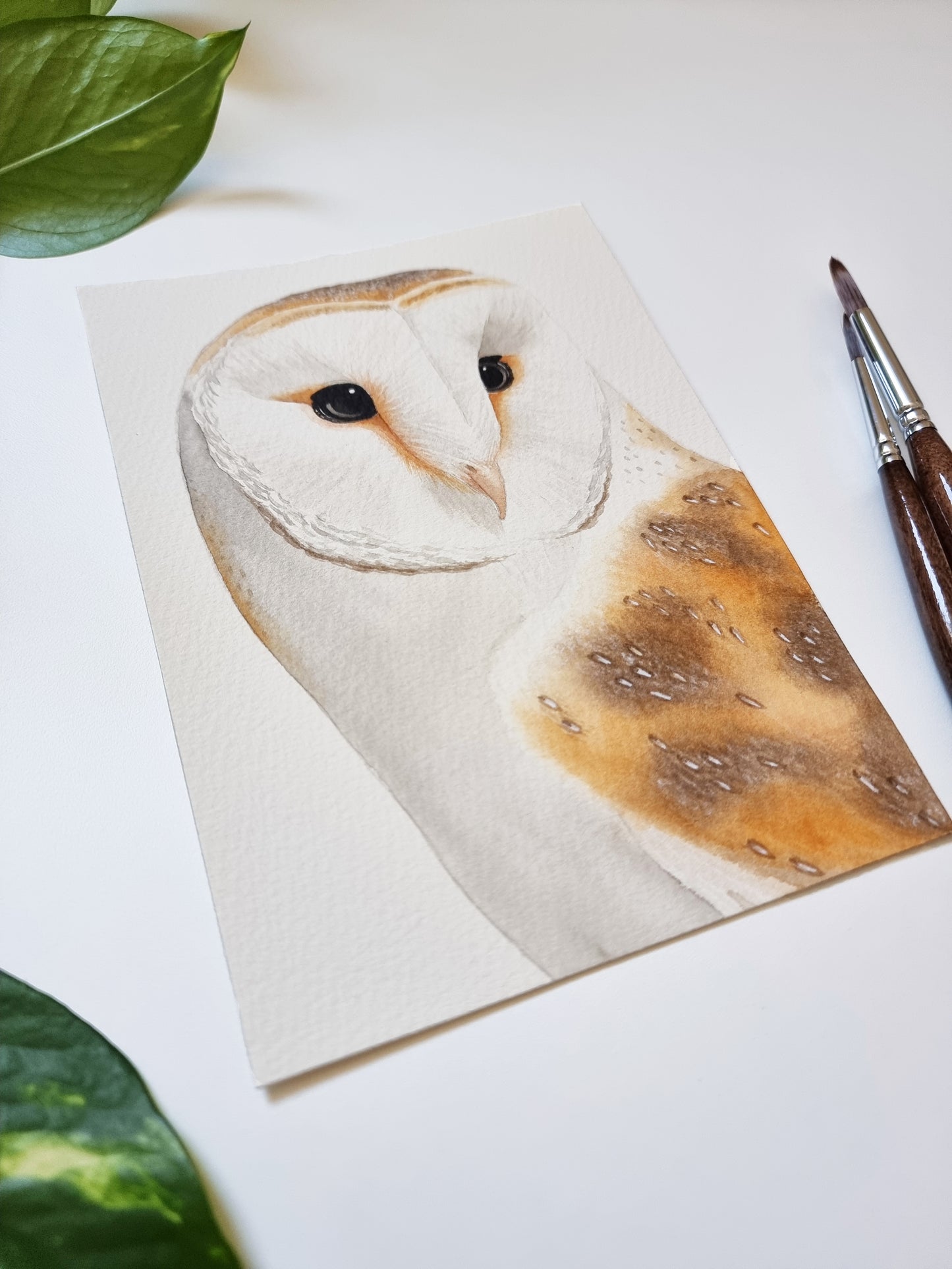 Barn Owl Original Watercolor Painting 18 x 13