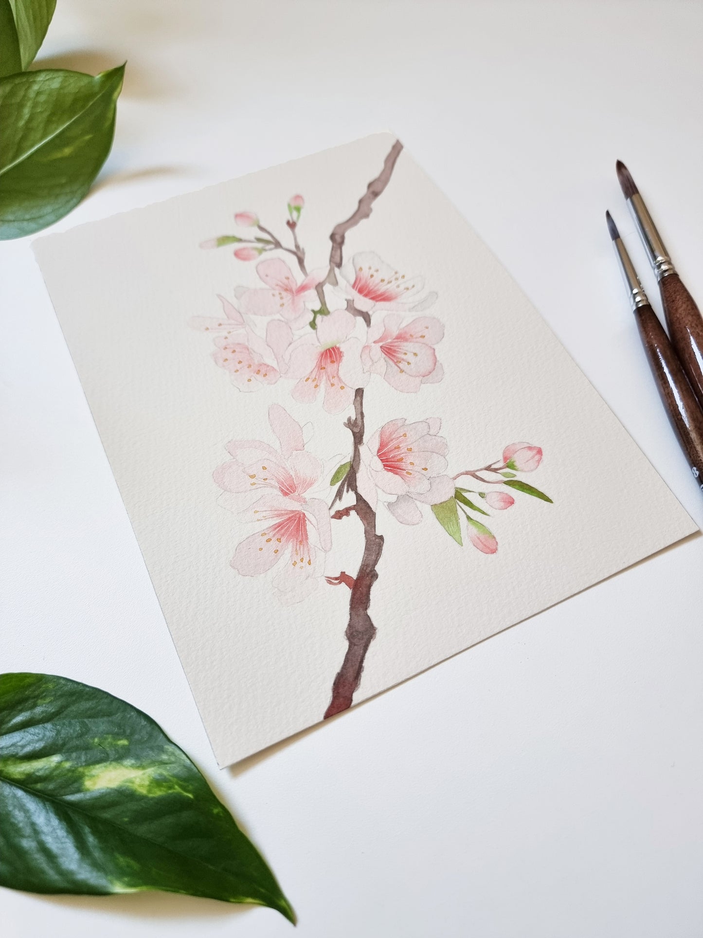 Fiori di ciliegio, dipinto originale ad acquerello 20 x 15