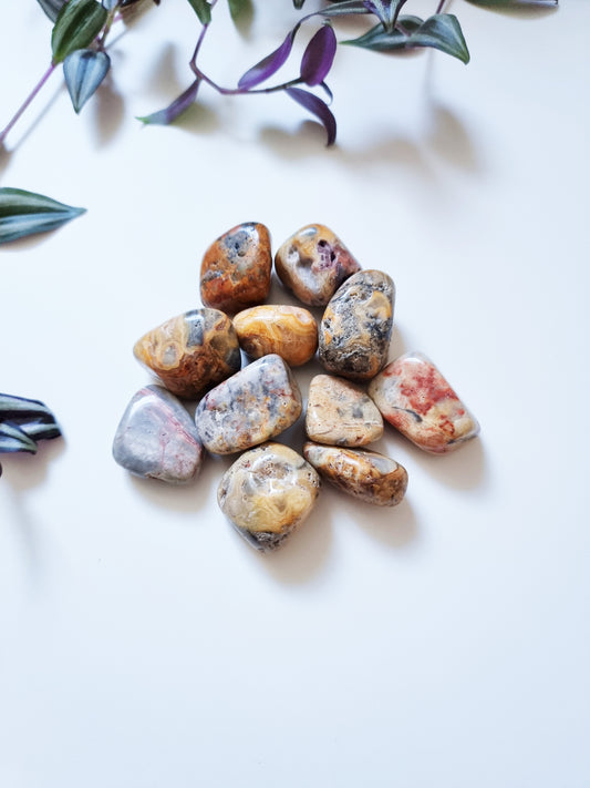 Agata Crazy Lace - Felicità, Sicurezza, Stabilità Interiore