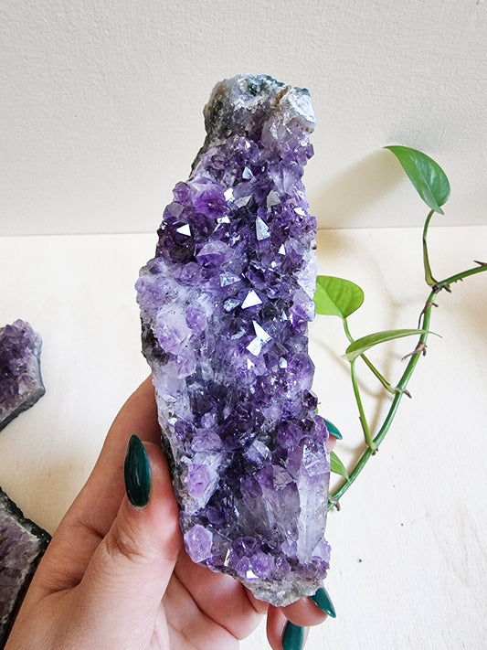 Amethyst Druse - Purifies environment, Insomnia
