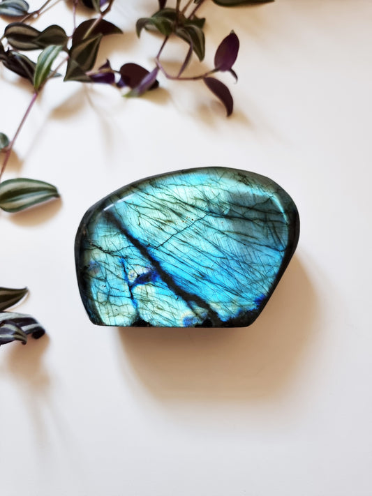 Labradorite Freeform qualità AAA 630g - Abilità psichiche, Intuizione, Trasformazione