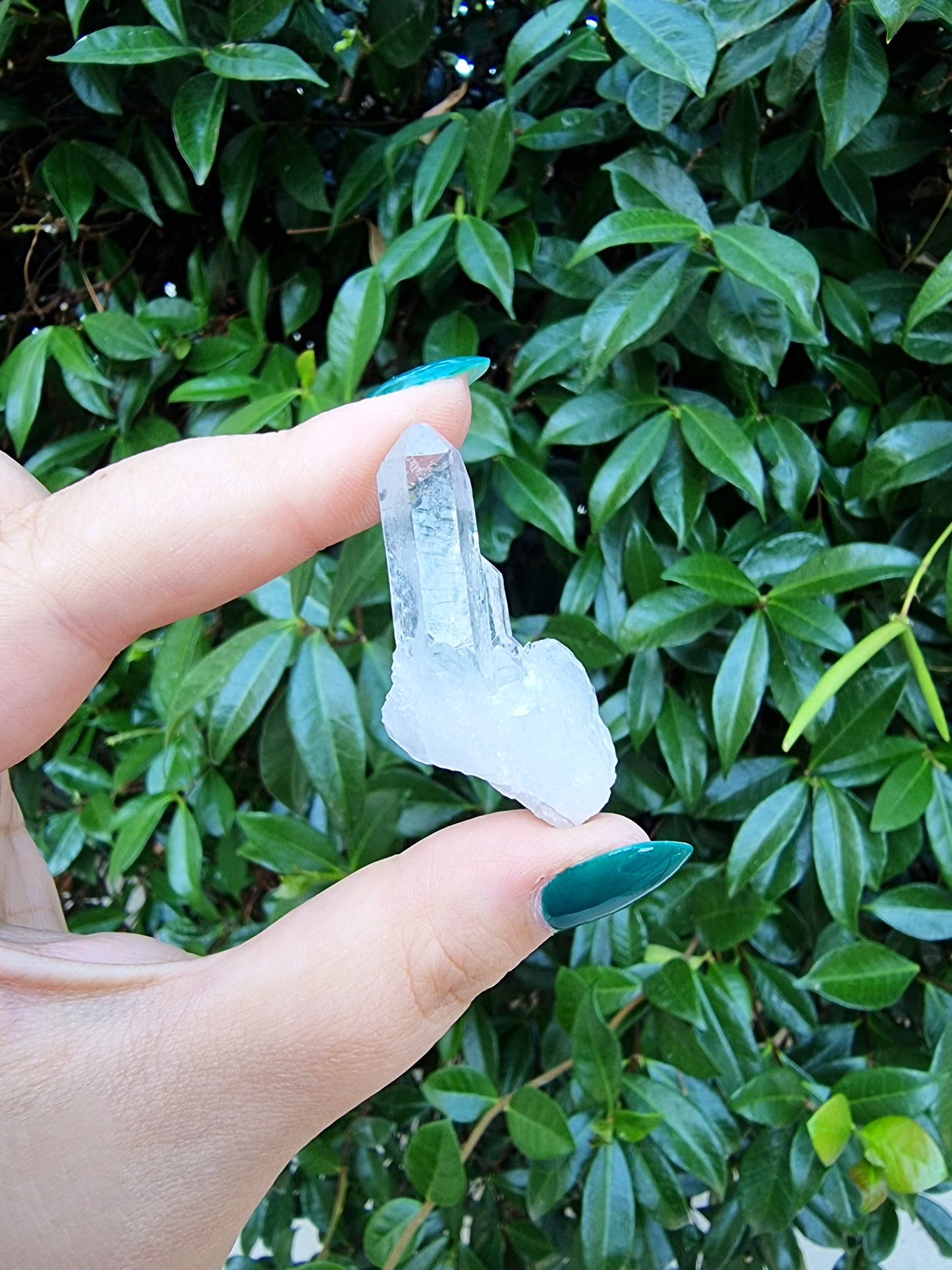 Punte di Quarzo Ialino grezzo (Cristallo di Rocca) - Purificare l'aura, Chiarezza mentale, Chiaroveggenza