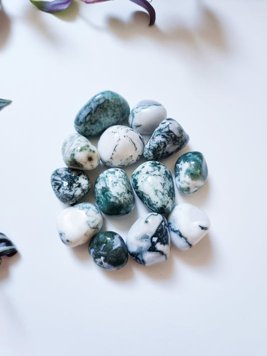 Agata Albero - Nature, Strength, Peace