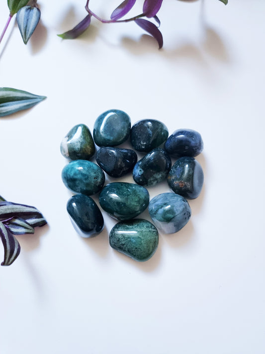 Agata Muschiata - Pace, Natura, Nuovo inizio