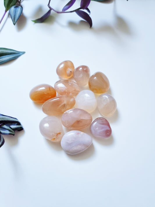 Agata Sakura (Cherry Blossoms) - Hidden Talents, Personal Growth, Rebirth