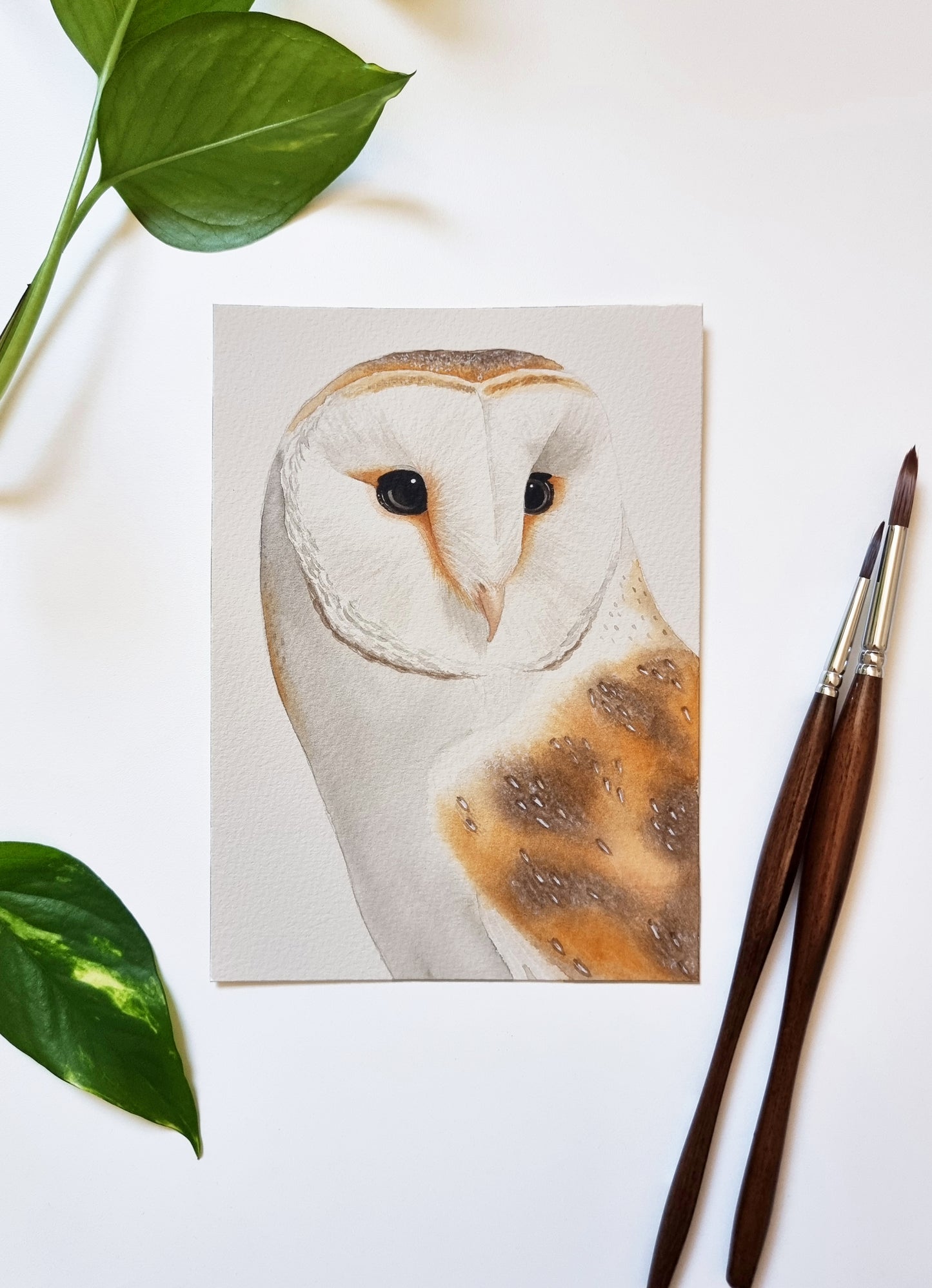 Barn Owl Original Watercolor Painting 18 x 13