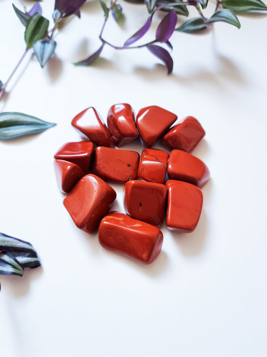 Red Jasper - Inner Strength, Endurance, Courage