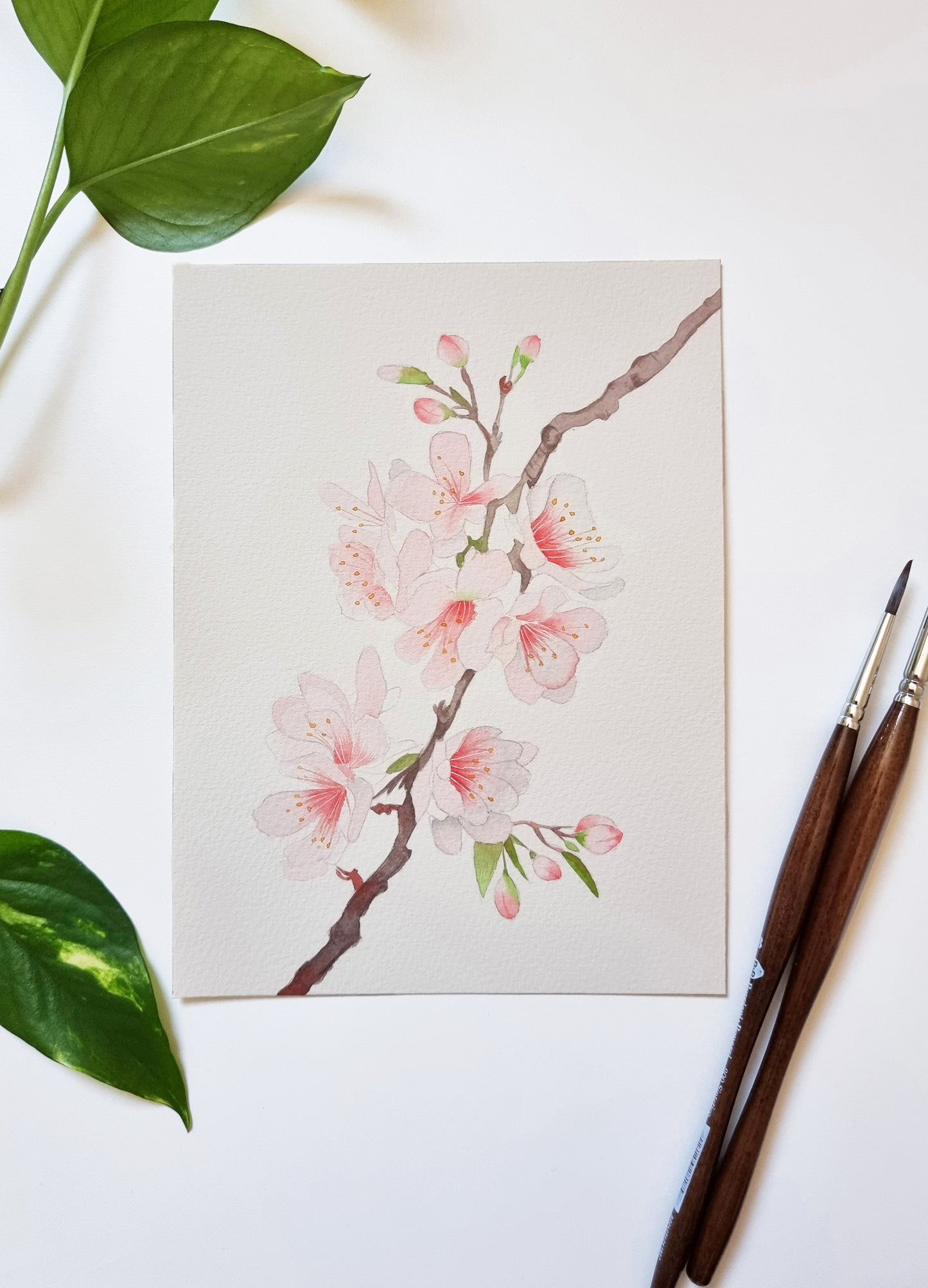 Fiori di ciliegio, dipinto originale ad acquerello 20 x 15