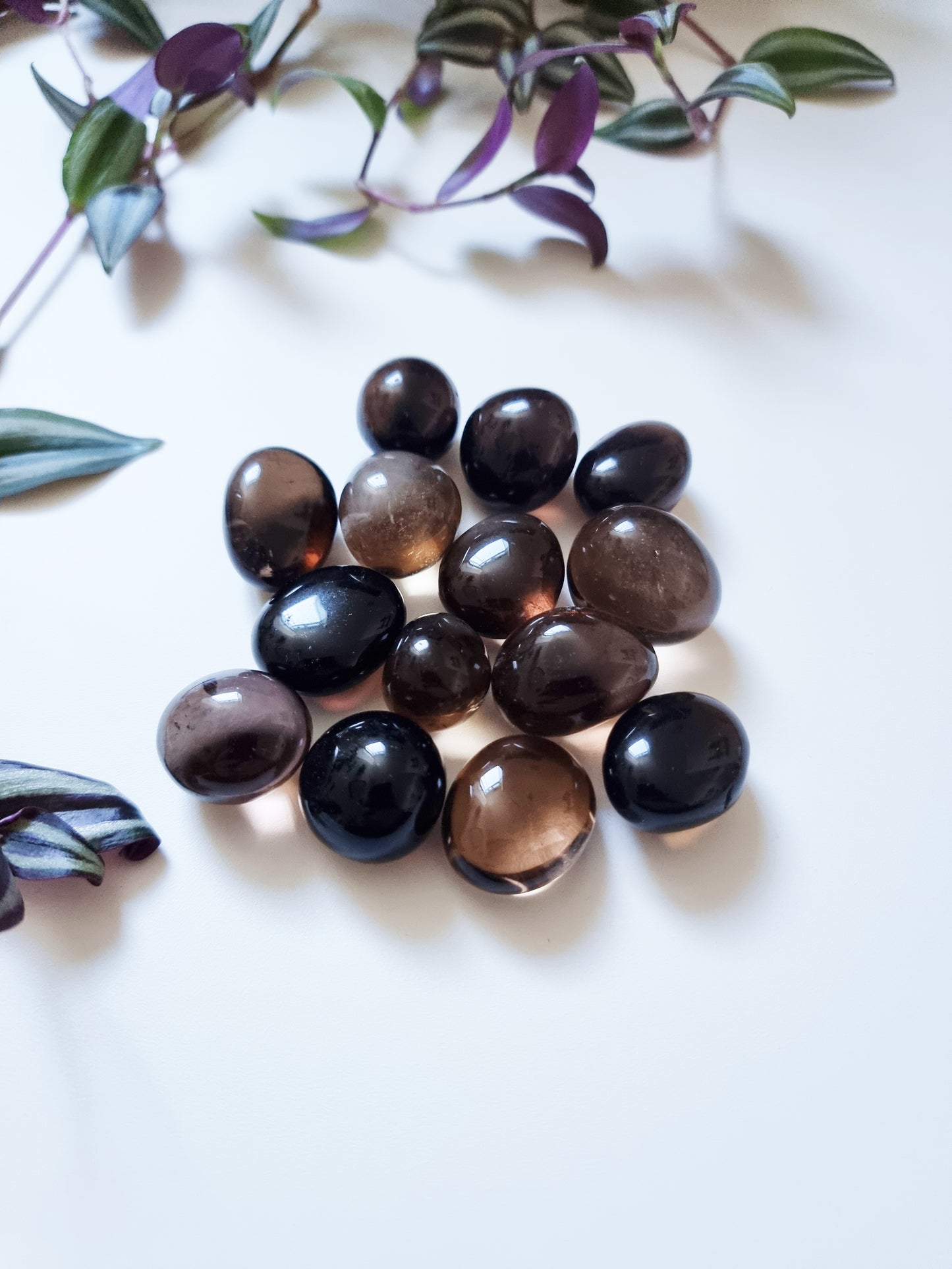 Quarzo Fumè (qualità extra) - Protezione, Stress, Stabilità, Radicamento