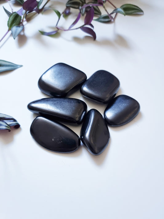 Shungite (Palmstone) - Protection, Anti Radiation