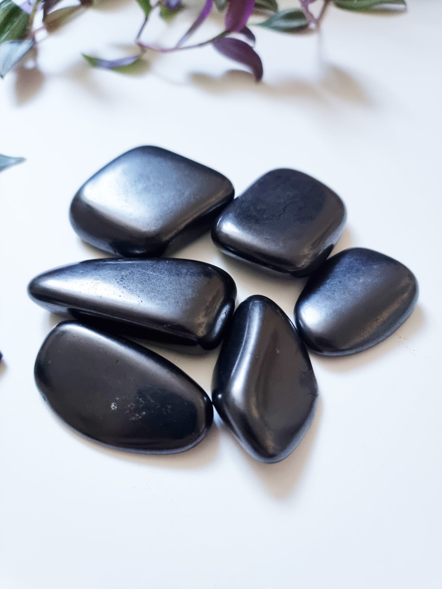 Shungite (Palmstone) - Protection, Anti Radiation